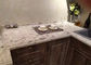 Controsoffitti di pietra prefabbricati su misura del quarzo bianco operato per l'armadio da cucina fornitore