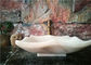 Il lavandino di marmo poligonale del bagno, nave di pietra naturale peggiora per il bagno fornitore
