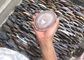La pietra naturale lucidata elabora la forma ovale della fetta di pietra dell'agata per i sottobicchieri del tè fornitore