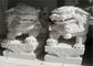 Scultura bianca del leone del marmo della giada, colore su misura sculture animali di pietra fornitore